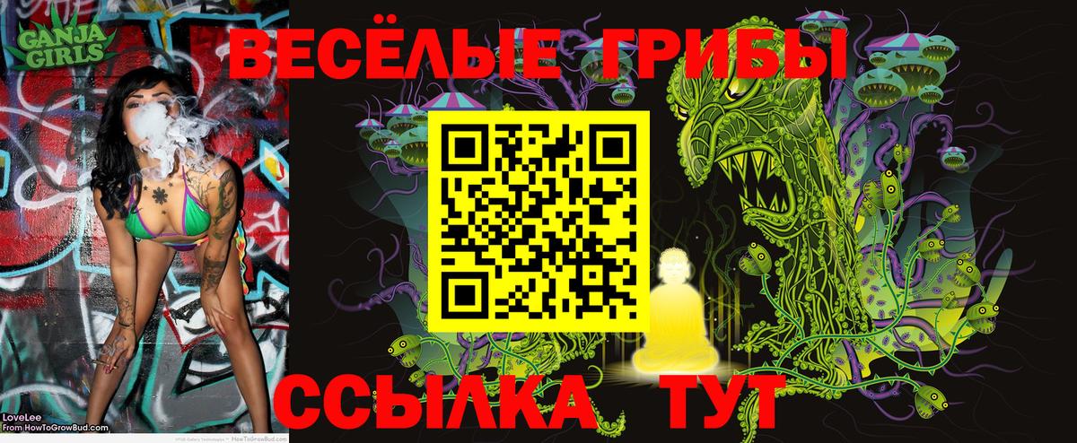 Галлюциногенные грибы Psilocybe Южно-Сахалинск